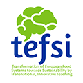 TEFSI (Erasmus+, 2018–2020)